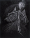 Meditation16 - Awaiting Angels