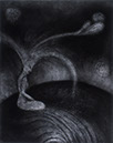 Meditation2 - Separation