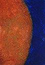 Floating Elements12