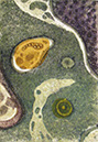 Floating Elements23